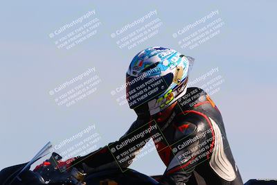 media/Mar-12-2022-SoCal Trackdays (Sat) [[152081554b]]/Turn 9 (220pm)/